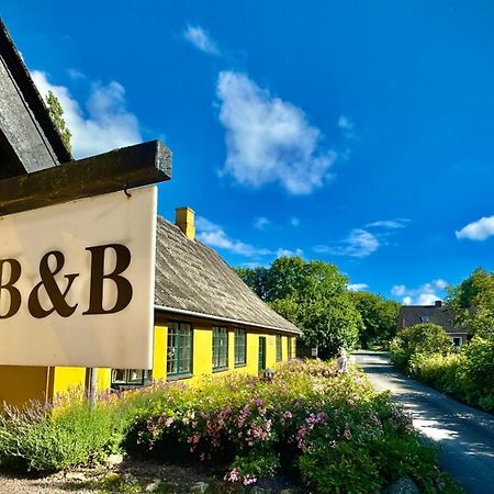 Dyrlev Bed & Breakfast Praesto Ngoại thất bức ảnh