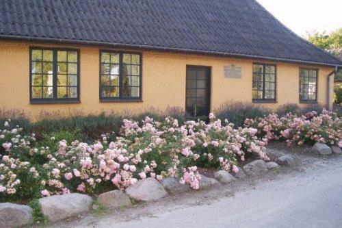 Dyrlev Bed & Breakfast Praesto Ngoại thất bức ảnh