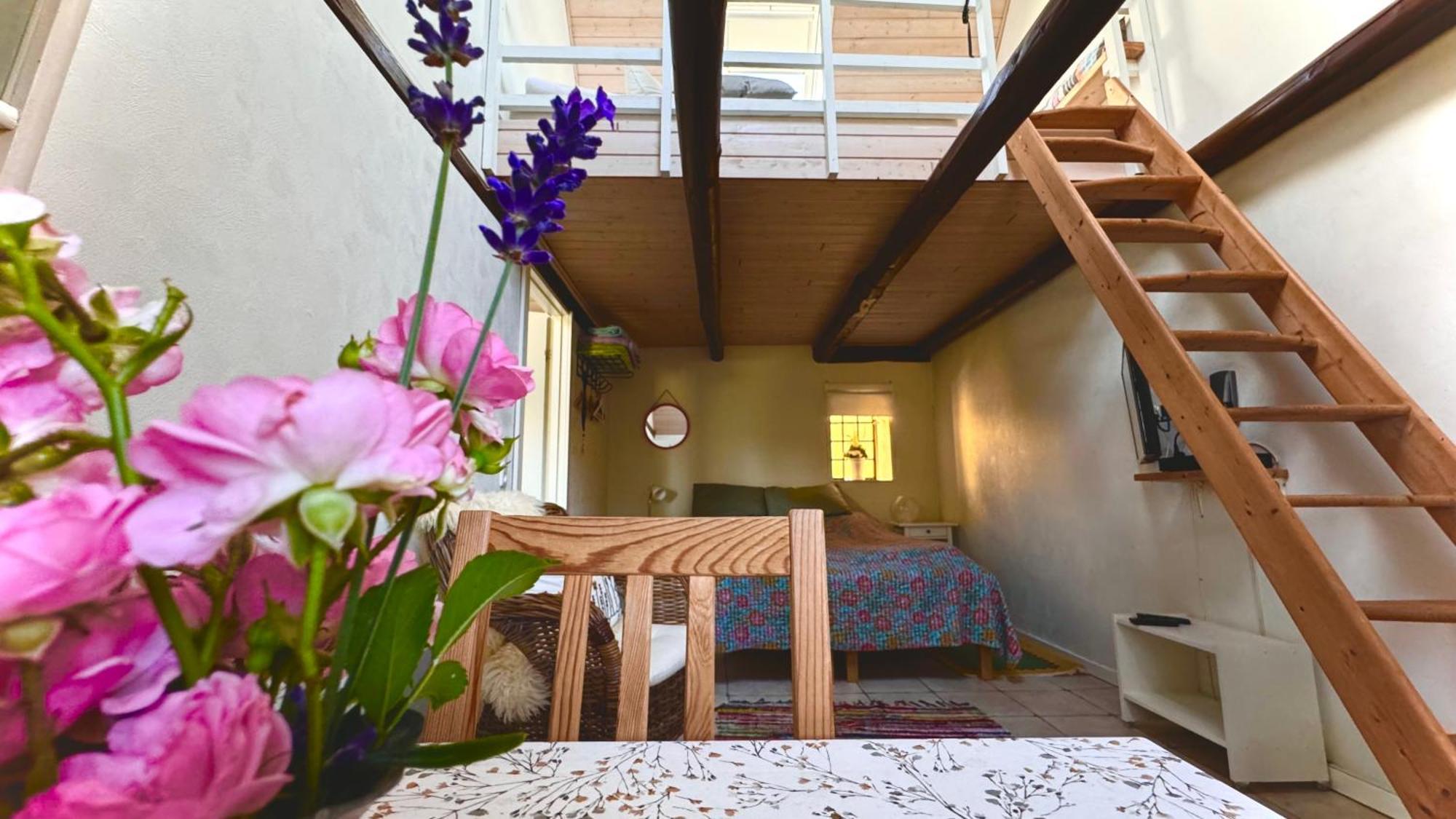 Dyrlev Bed & Breakfast Praesto Ngoại thất bức ảnh